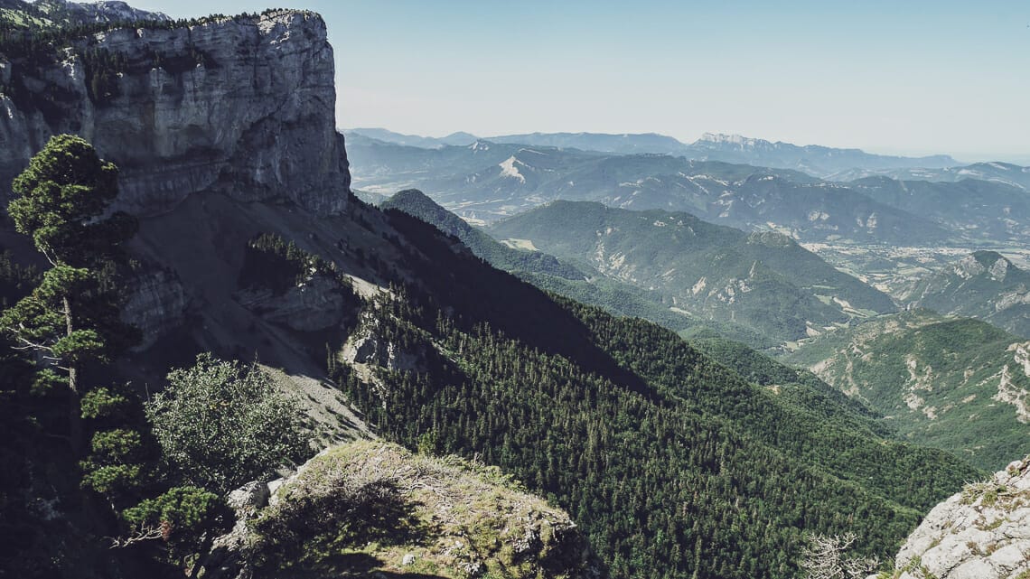 forêts