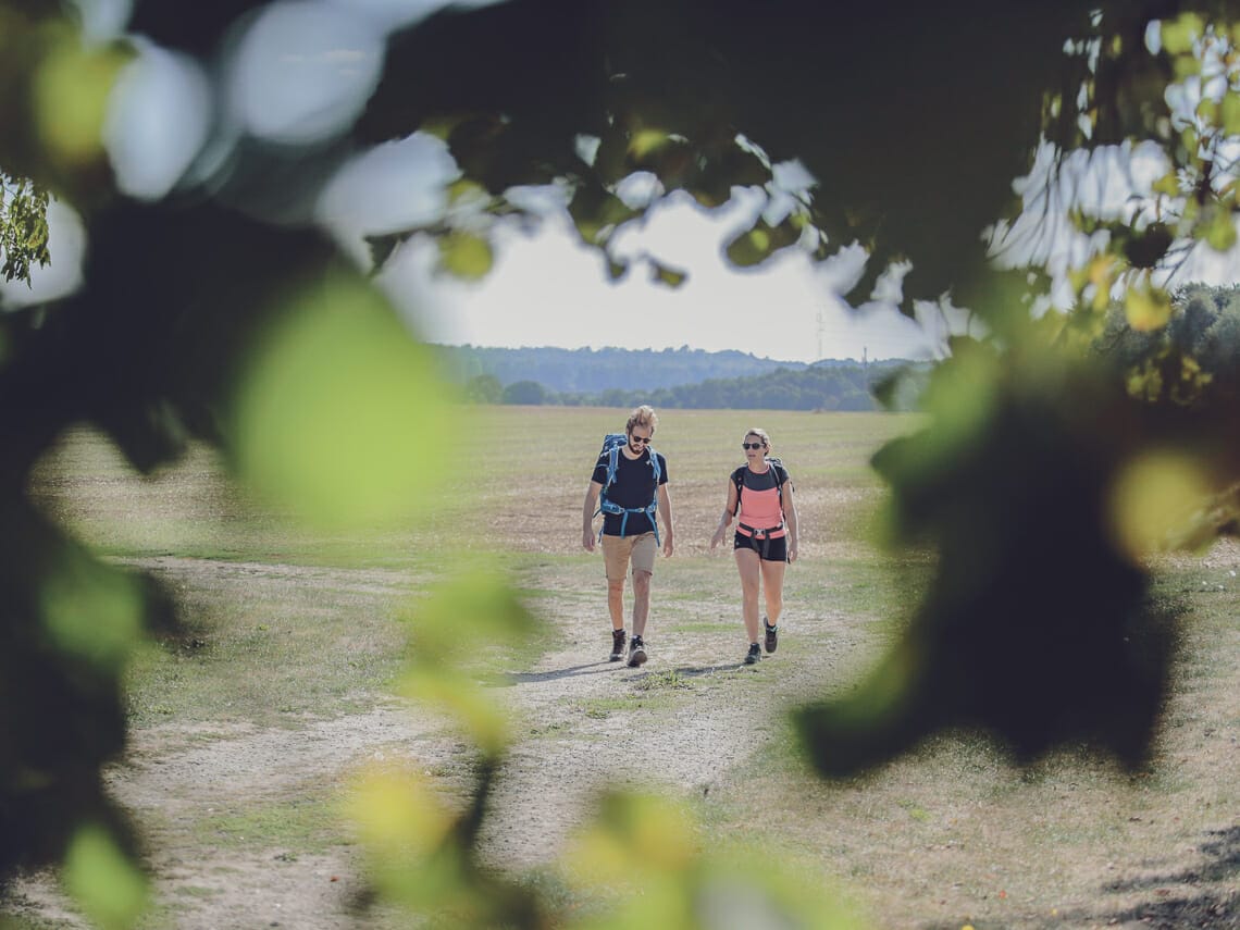 Où randonner autour de Paris ? Idée No. 2 : La forêt autour de l'abbaye de Royaumont
