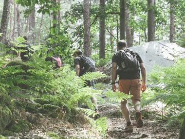 Des randonneurs en forêt de Fontainebleau