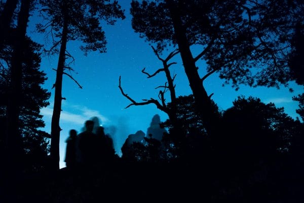 un groupe de personnes de nuit dans une forêt