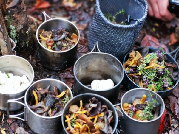des mugs remplis de champignons