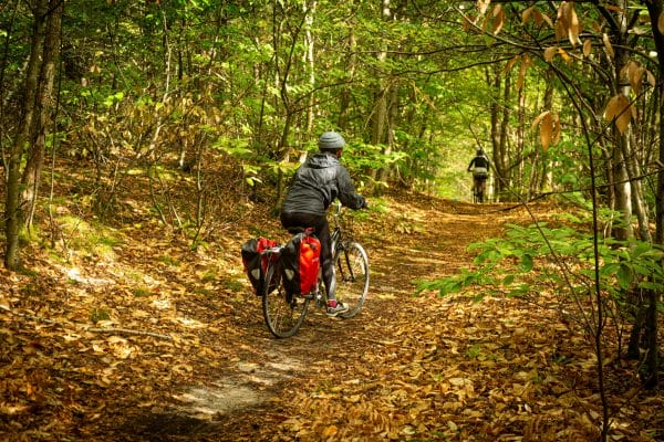 deux personnes font du vélo en forêt