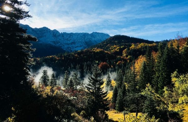 un paysage de forêt et de montagne en automne