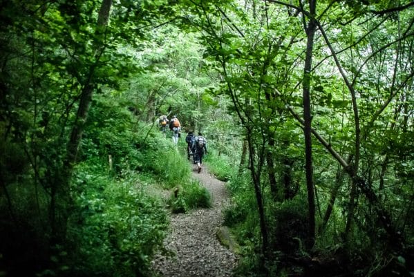 des randonneurs marchent en forêt