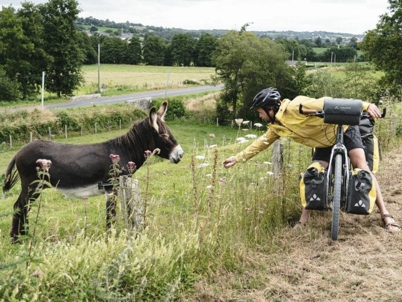 Une cycliste nourrit un âne le long de la Vélodyssée