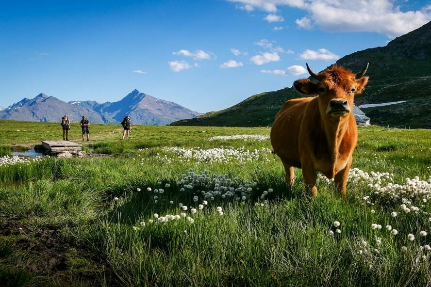 parc national Vanoise