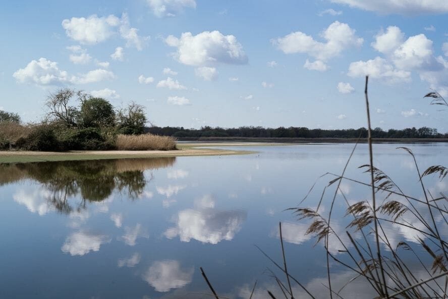 les 1000 étangs de la Brenne