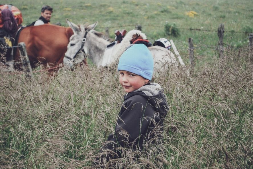 Traverser l'Aubrac avec un âne
