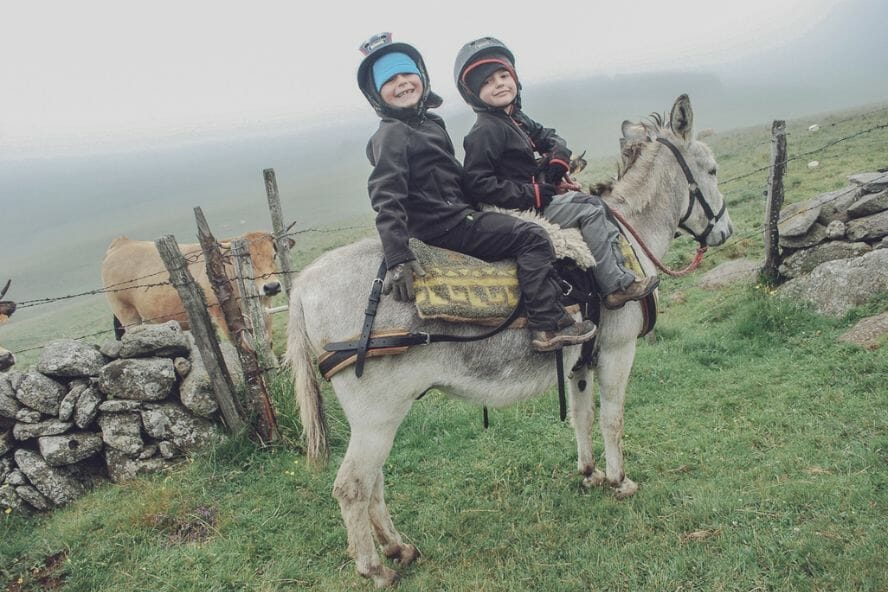 Traverser l'Aubrac avec un âne