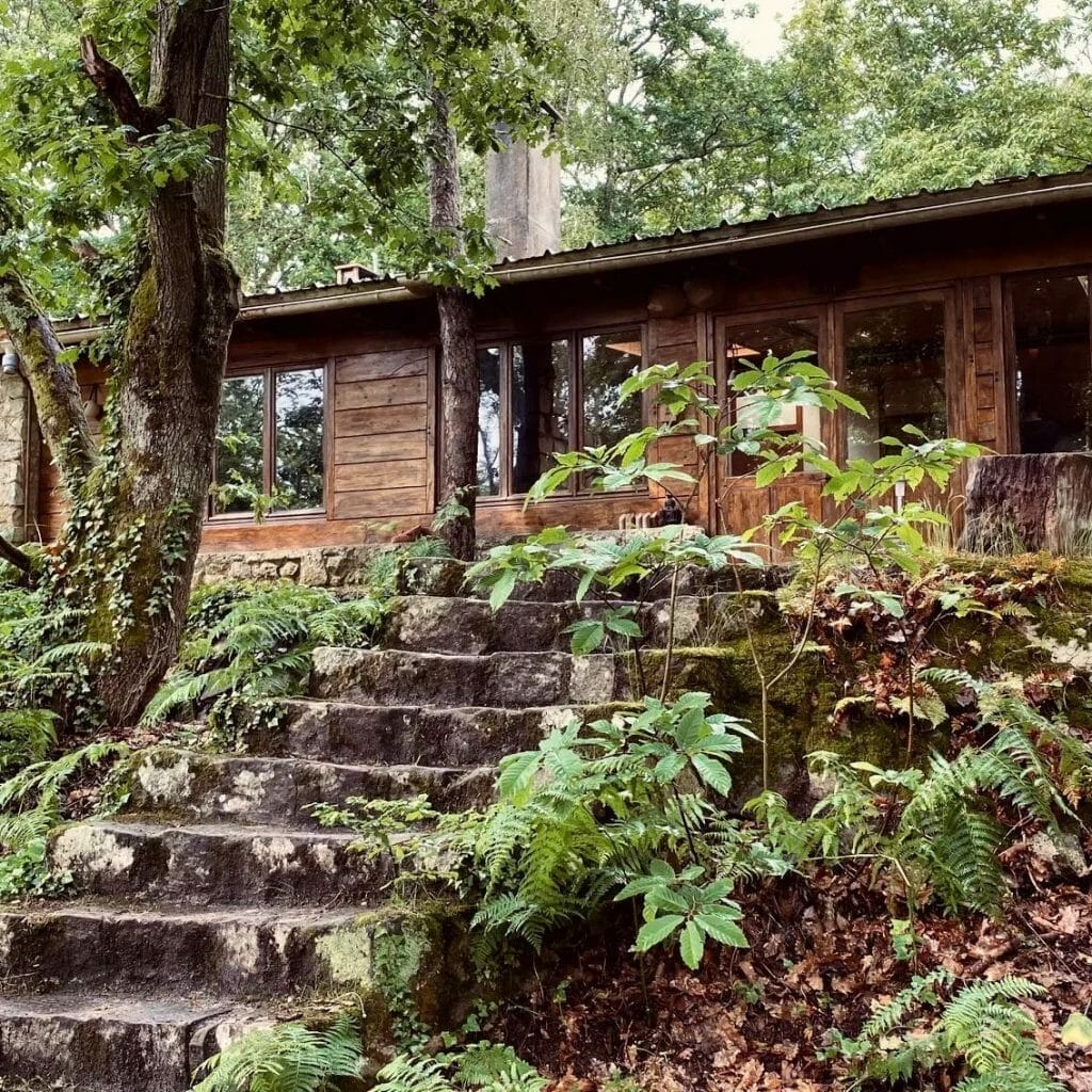 cabane forêt de Fontainebleau