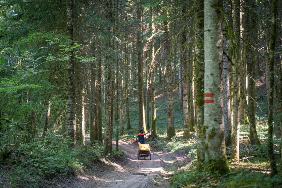 Famille à vélo dans la forêt en week-end