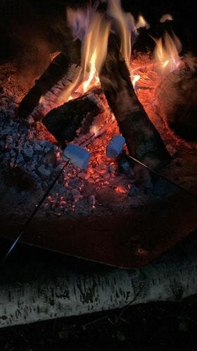 Chamallows grillés sur feu