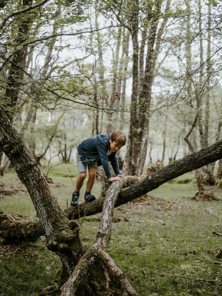 enfant sur un arbre