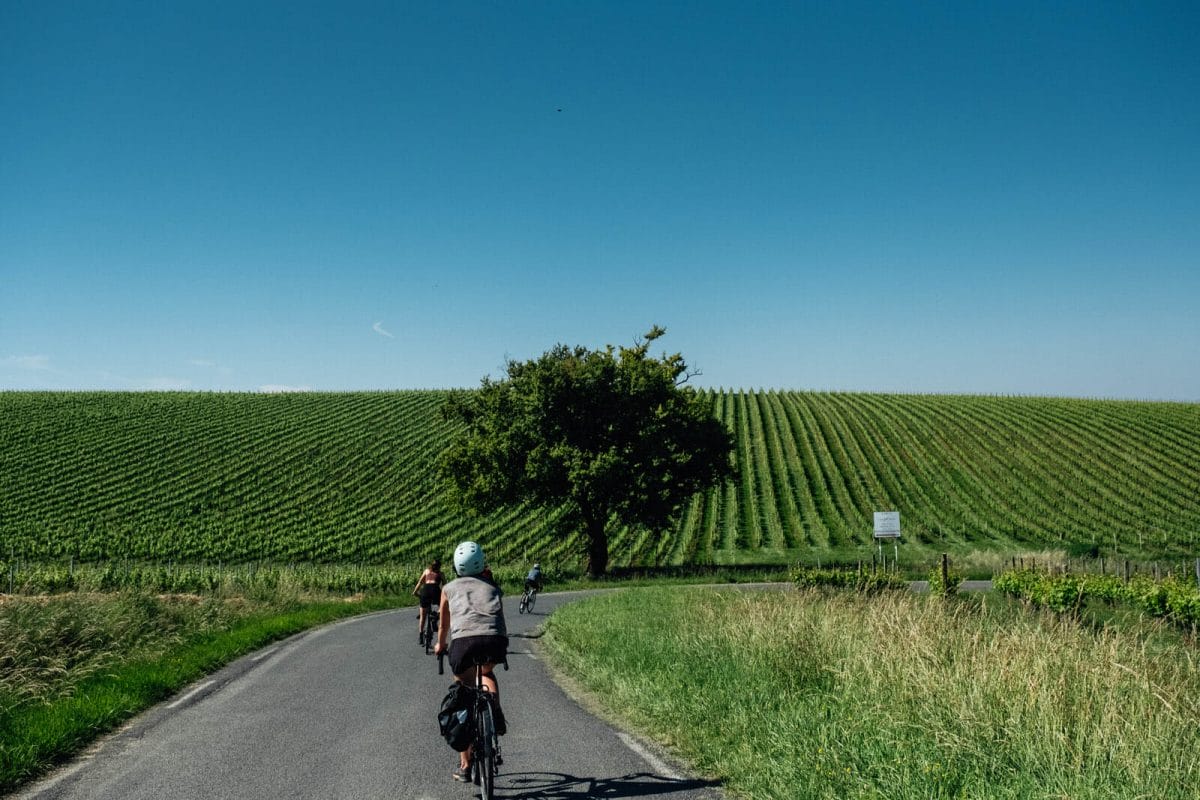 Quelle spécialité de Bordeaux ramener ?