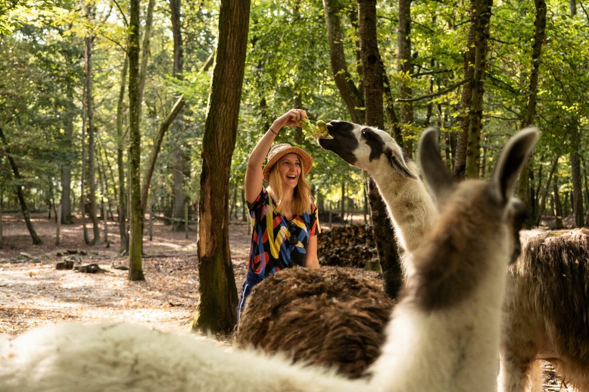 parc animalier janvry randonnée autour de paris