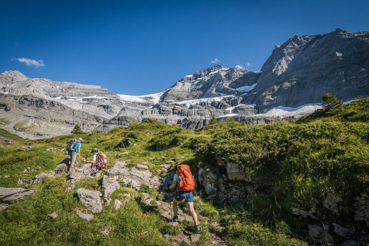 paysage de montagne alpage
