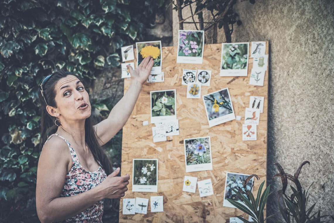 stage cueillette plantes sauvages