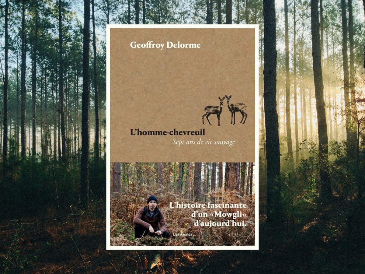 Cinq livres pour reconnecter avec la forêt