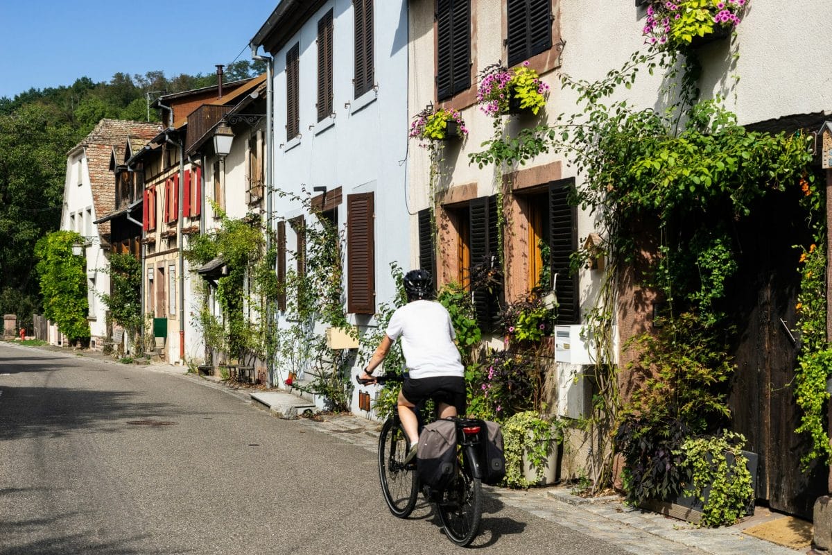 route vins Alsace vélo