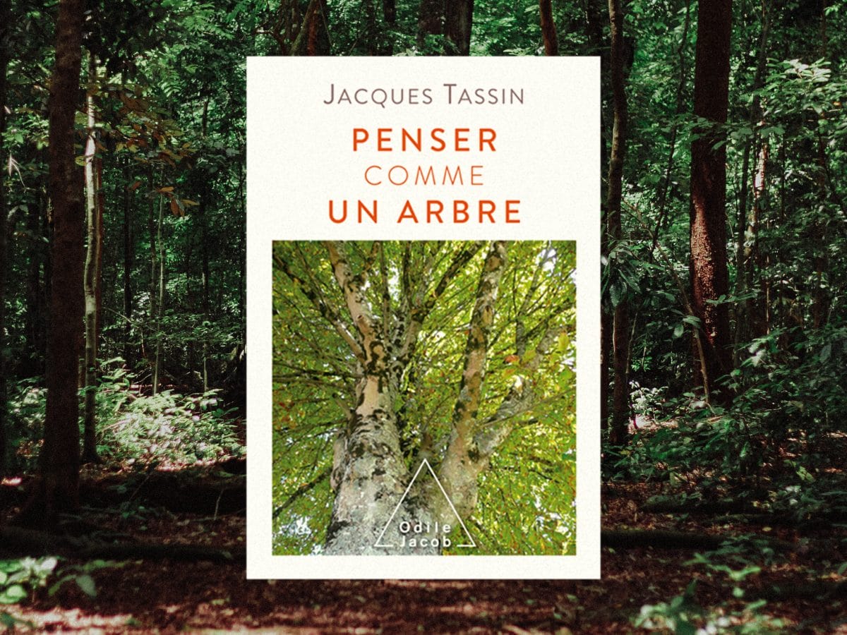 Cinq livres pour reconnecter avec la forêt