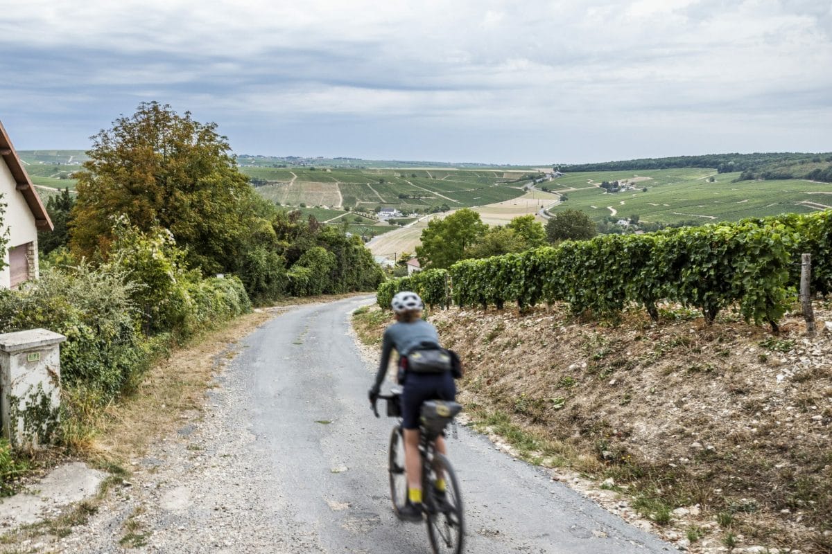 vignoble sancerre